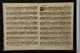 IBc_BB007C_006