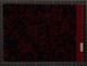 IBc_Q108_072