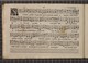 IBc_R031_020