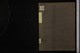 IBc_R231_001