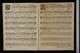 IBc_R241E_010