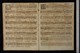 IBc_R241E_013
