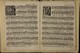 IBc_R333_005