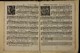 IBc_R333_011