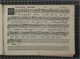 IBc_R338_017