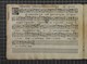 IBc_R338_230