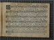 IBc_R338_255