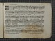 IBc_R339_151