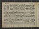 IBc_T011_008