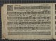 IBc_T019_006