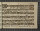 IBc_T024_019