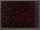 IBc_T028_028