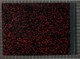IBc_T028_056