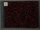 IBc_T028_113