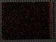 IBc_T078_032
