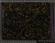 T099_084