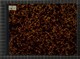 IBc_T102_001
