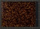 IBc_T102_028