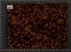 IBc_T102_057