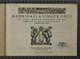 IBc_T222_003