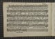 IBc_T243_008