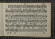 IBc_T243_031