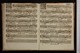 IBc_U114D_010
