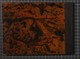 IBc_U207_160