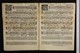 IBc_U209_007