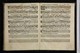 IBc_U285D_025