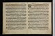 IBc_U285G_007