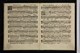 IBc_U285G_012