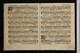 IBc_U285G_014