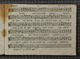 IBc_U359_017
