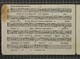 IBc_U359_054