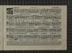 IBc_U361_111