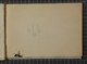 IBc_U391_037