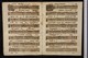 IBc_V244A_007