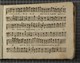 IBc_Z209_057