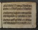 IBc_Z244_033
