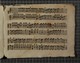 IBc_Z244_071