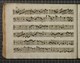 IBc_Z245_052