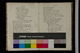 IBc_Lo00521_000
