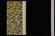 Lo00957_097