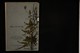 IBc_Lo08192_029