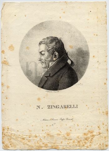 Zingarelli, Niccol